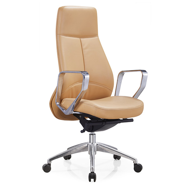 辦公皮椅raysun012